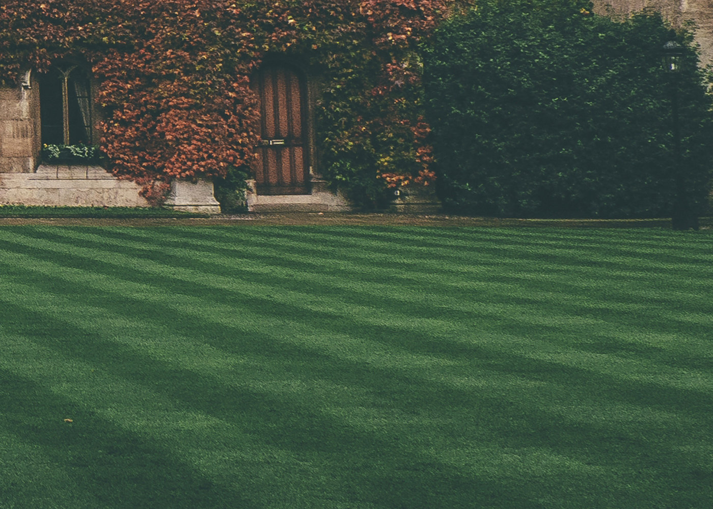 Freshly mowed striped lawn