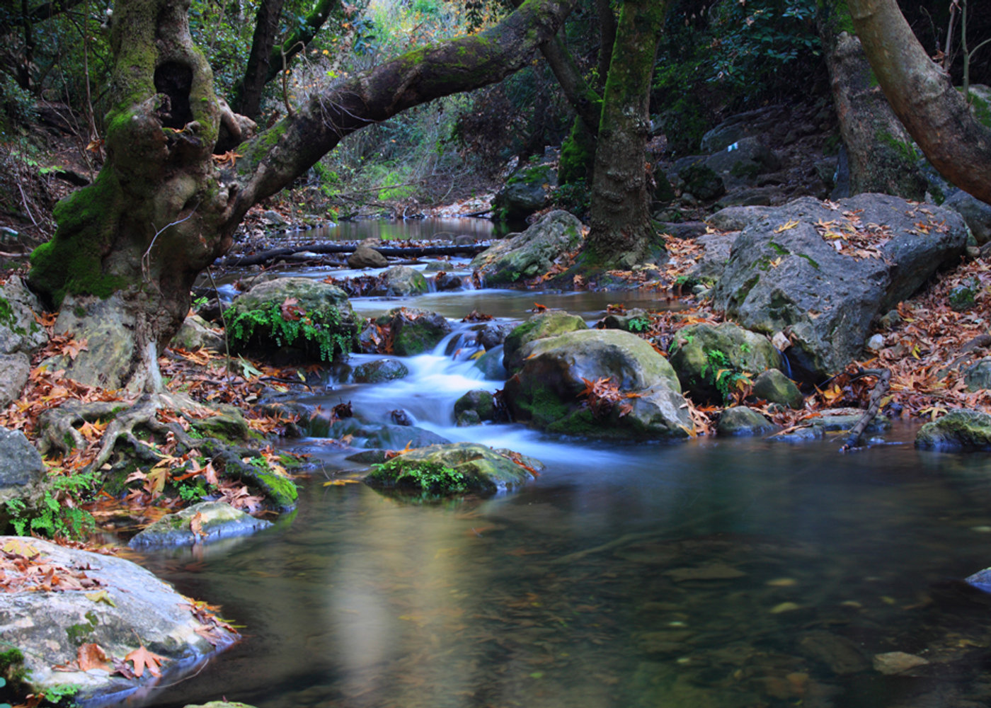 Natural water feature